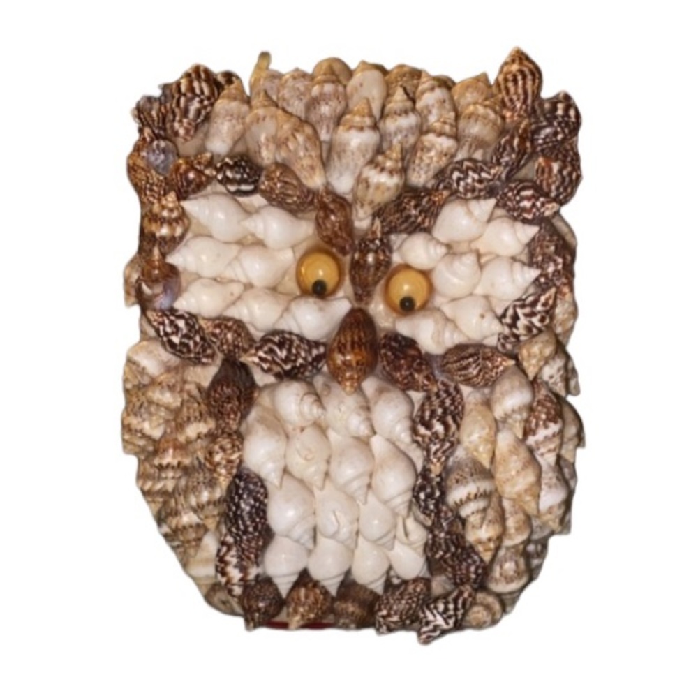 Sea Shell Owl Figurine With Googlie Eyes 3” Tall